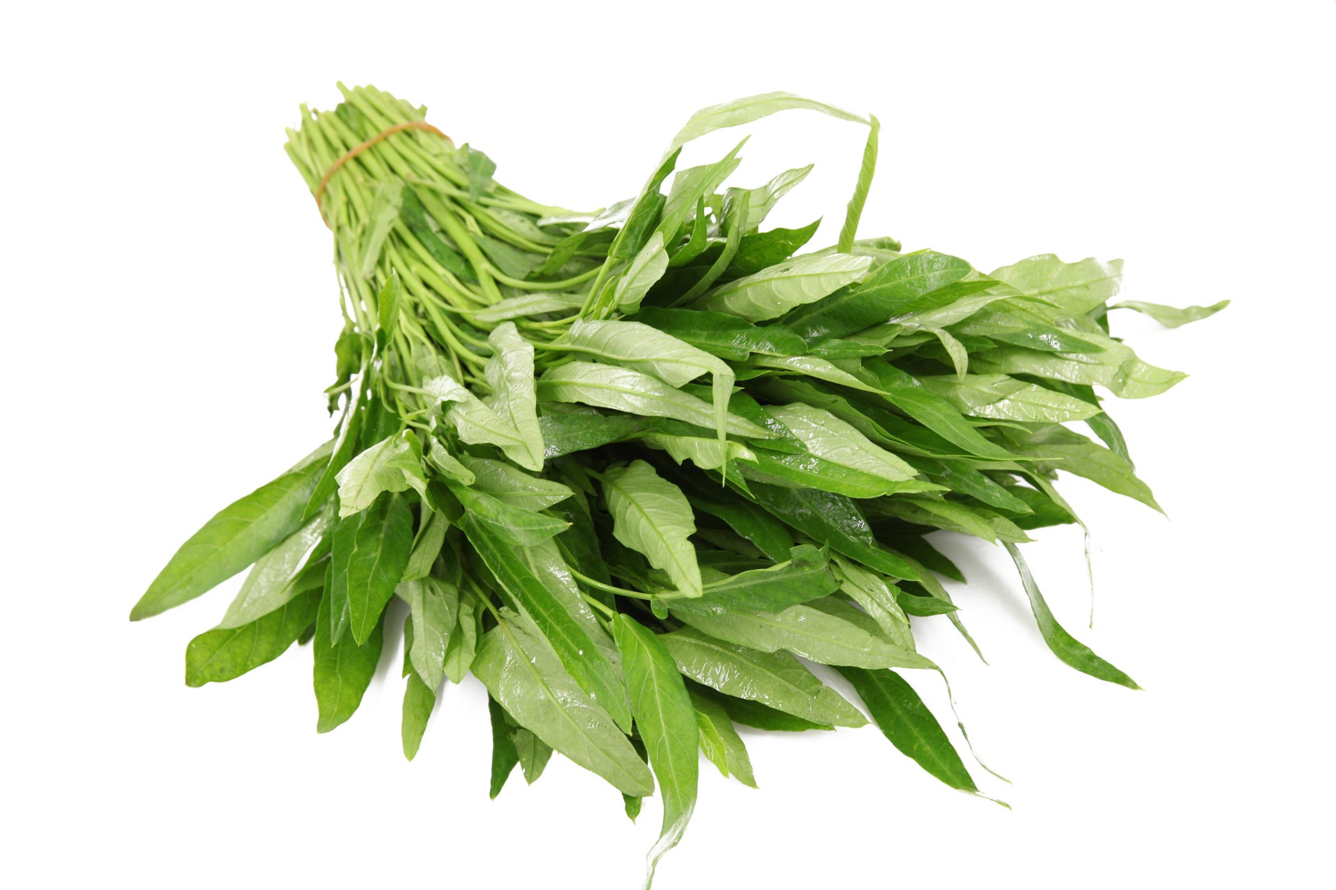 Kangkong