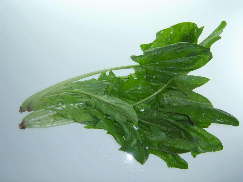 Japanese Spinach